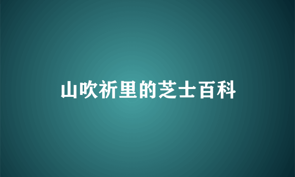 山吹祈里的芝士百科