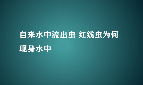 自来水中流出虫 红线虫为何现身水中