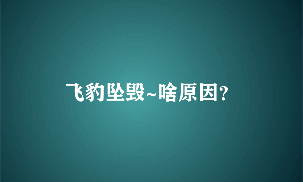 飞豹坠毁~啥原因？