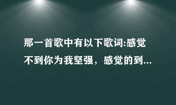 那一首歌中有以下歌词:感觉不到你为我坚强，感觉的到你对我撒谎？