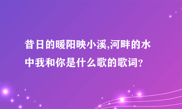 昔日的暖阳映小溪,河畔的水中我和你是什么歌的歌词？