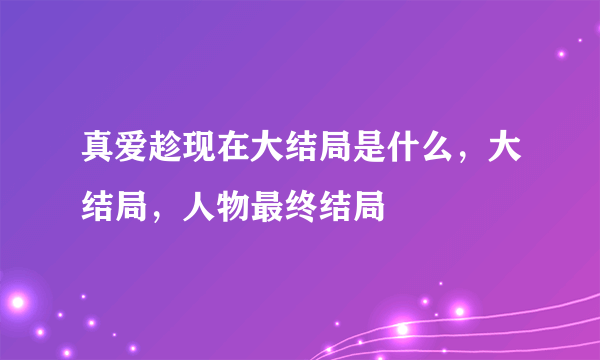 真爱趁现在大结局是什么，大结局，人物最终结局