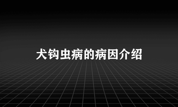 犬钩虫病的病因介绍