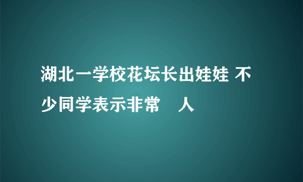 湖北一学校花坛长出娃娃 不少同学表示非常瘆人