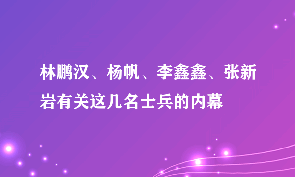 林鹏汉、杨帆、李鑫鑫、张新岩有关这几名士兵的内幕