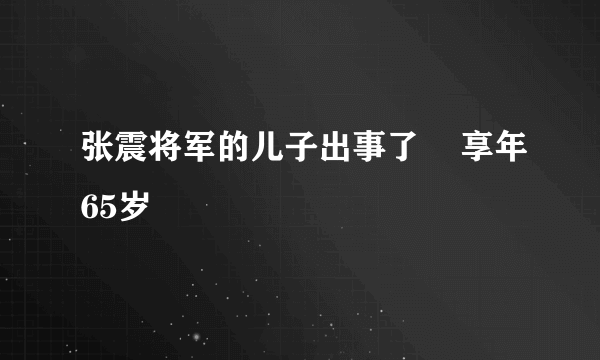 张震将军的儿子出事了    享年65岁