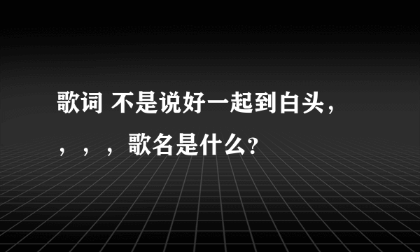 歌词 不是说好一起到白头，，，，歌名是什么？