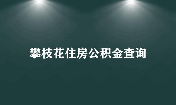 攀枝花住房公积金查询