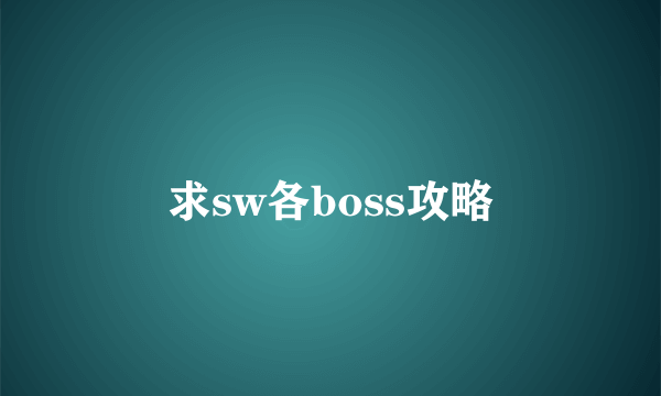 求sw各boss攻略