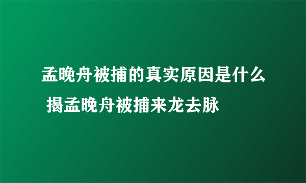 孟晚舟被捕的真实原因是什么 揭孟晚舟被捕来龙去脉