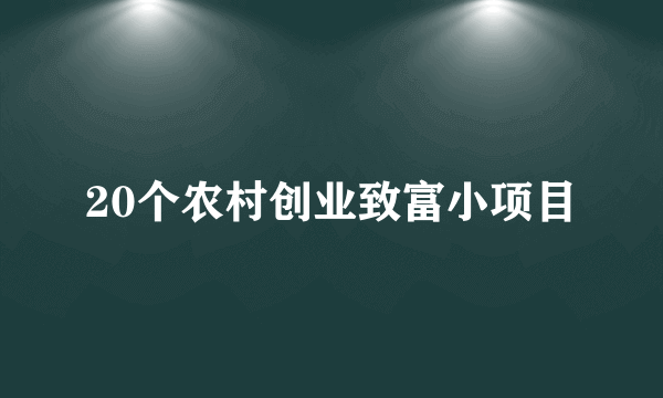 20个农村创业致富小项目