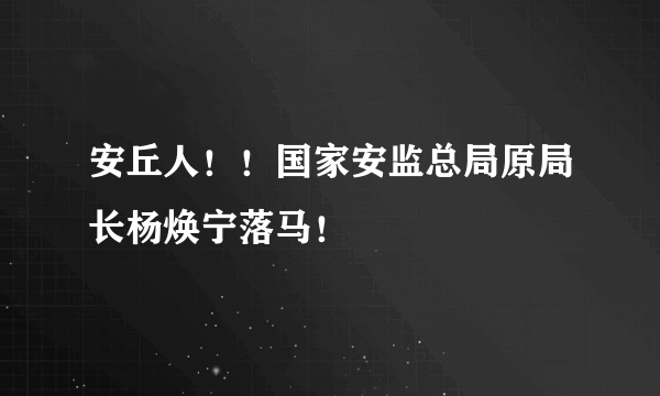 安丘人！！国家安监总局原局长杨焕宁落马！