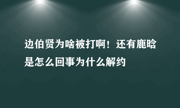 边伯贤为啥被打啊！还有鹿晗是怎么回事为什么解约