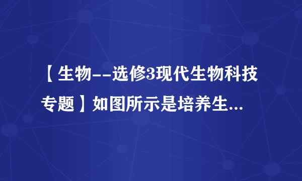 【生物--选修3现代生物科技专题】如图所示是培养生产药物的乳腺生物反应器转基因动物的过程，请完成下列