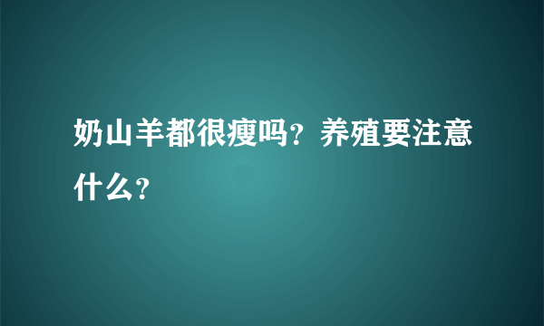 奶山羊都很瘦吗？养殖要注意什么？