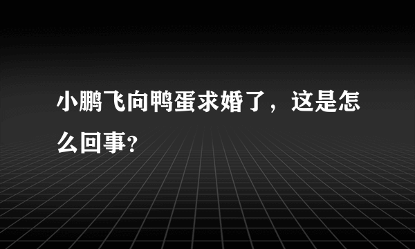 小鹏飞向鸭蛋求婚了，这是怎么回事？