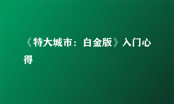 《特大城市：白金版》入门心得