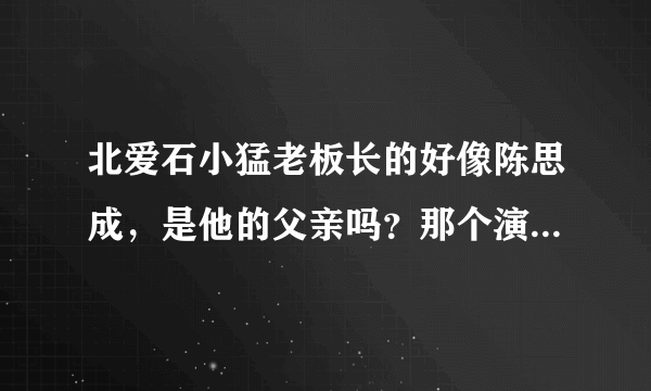 北爱石小猛老板长的好像陈思成，是他的父亲吗？那个演员名叫什么？很出名吗？