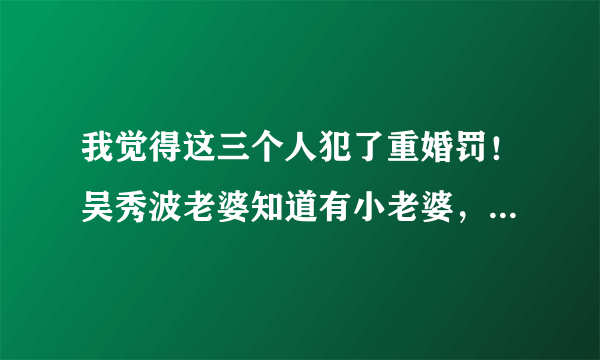 我觉得这三个人犯了重婚罚！吴秀波老婆知道有小老婆，吴秀波和那女的拍戏又吃住在一起？