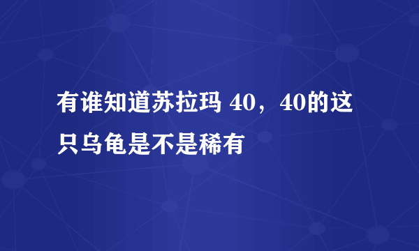 有谁知道苏拉玛 40，40的这只乌龟是不是稀有