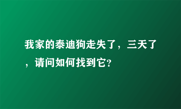 我家的泰迪狗走失了，三天了，请问如何找到它？