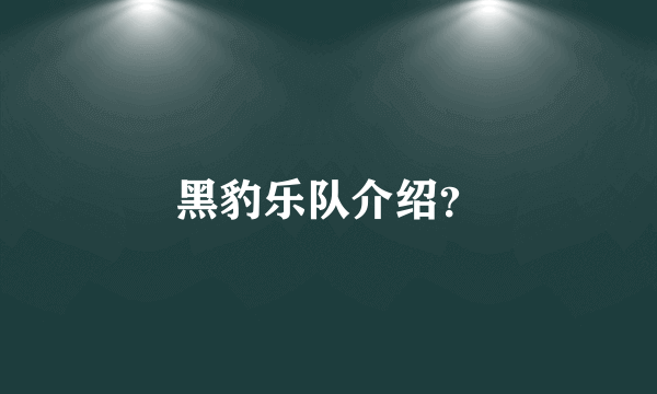 黑豹乐队介绍？