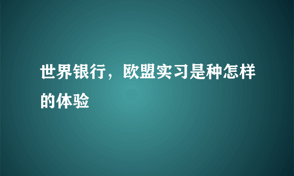 世界银行，欧盟实习是种怎样的体验