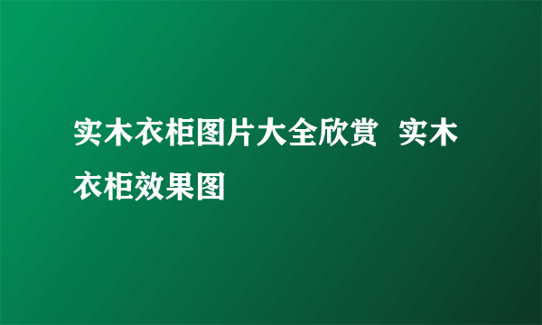 实木衣柜图片大全欣赏  实木衣柜效果图