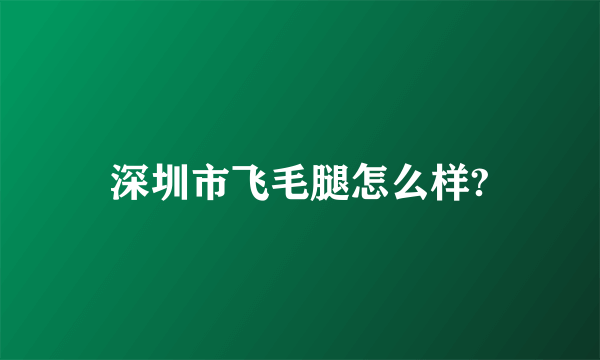 深圳市飞毛腿怎么样?