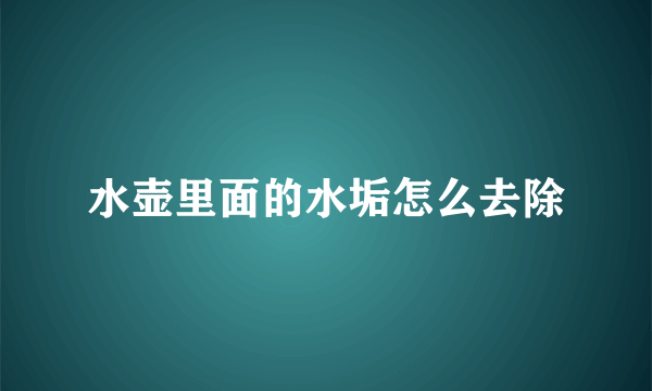 水壶里面的水垢怎么去除