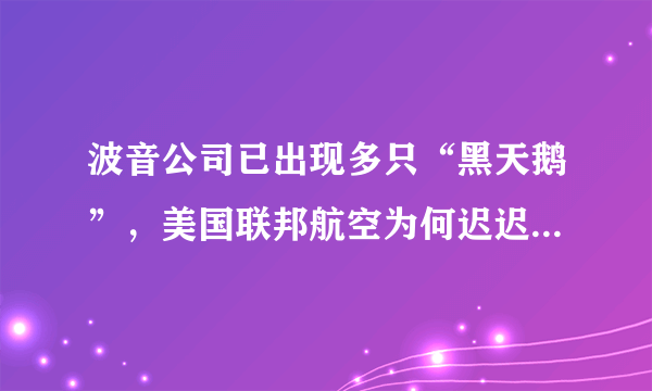 波音公司已出现多只“黑天鹅”，美国联邦航空为何迟迟不做决裁？