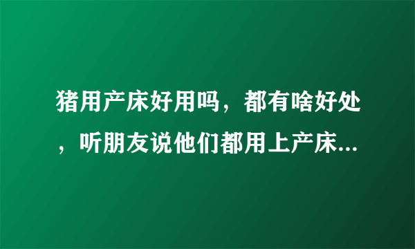 猪用产床好用吗，都有啥好处，听朋友说他们都用上产床养母猪了，这东西贵不贵啊？