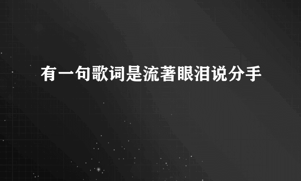 有一句歌词是流著眼泪说分手