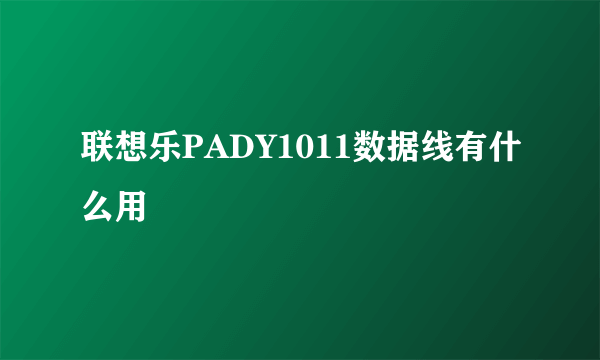 联想乐PADY1011数据线有什么用