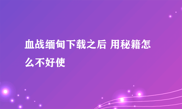 血战缅甸下载之后 用秘籍怎么不好使