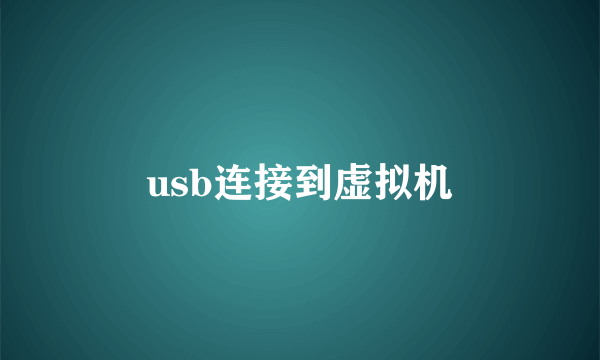 usb连接到虚拟机