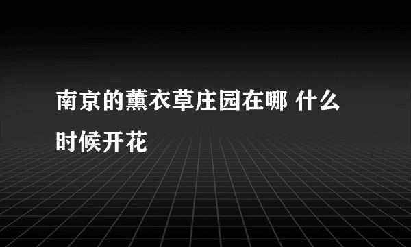 南京的薰衣草庄园在哪 什么时候开花