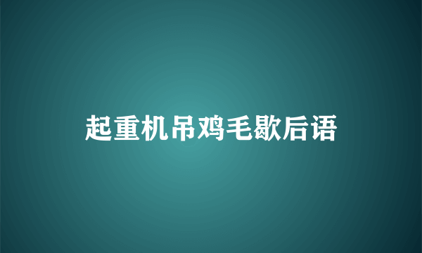 起重机吊鸡毛歇后语