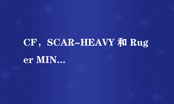 CF，SCAR-HEAVY 和 Ruger MINI-14