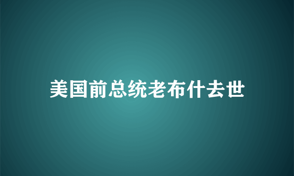 美国前总统老布什去世