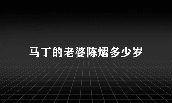 马丁的老婆陈熠多少岁