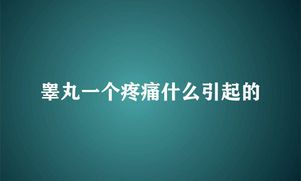 睾丸一个疼痛什么引起的