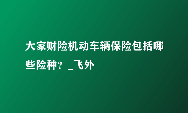 大家财险机动车辆保险包括哪些险种？_飞外