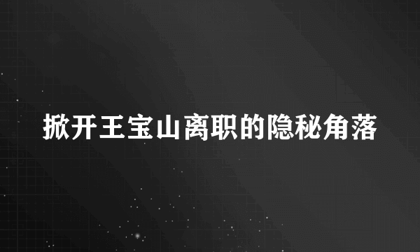 掀开王宝山离职的隐秘角落