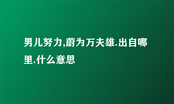 男儿努力,蔚为万夫雄.出自哪里.什么意思