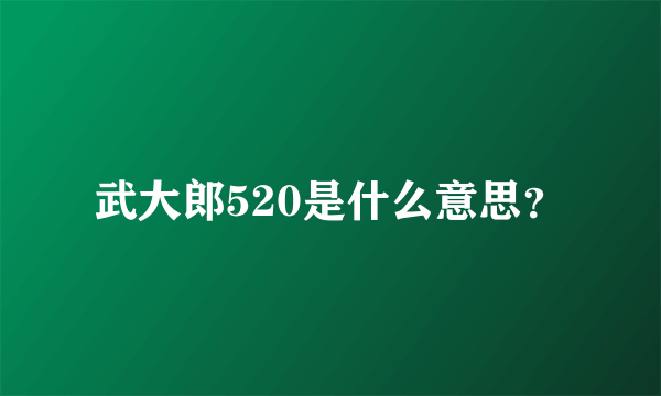 武大郎520是什么意思？