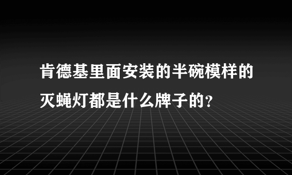 肯德基里面安装的半碗模样的灭蝇灯都是什么牌子的？