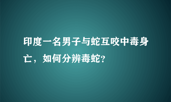 印度一名男子与蛇互咬中毒身亡，如何分辨毒蛇？