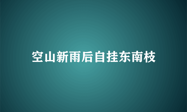 空山新雨后自挂东南枝