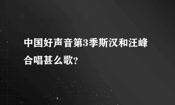 中国好声音第3季斯汉和汪峰合唱甚么歌？